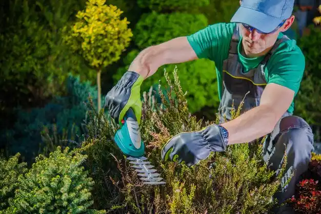 landscaping services Eastport